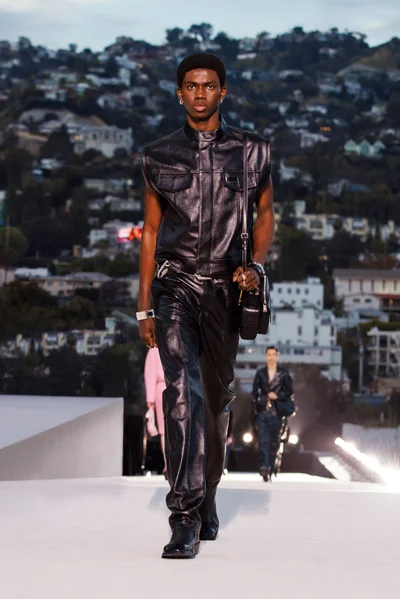 Look 33